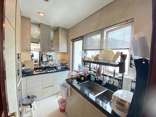 Wan Chai - The Avenue Phase 2 Block 1 02