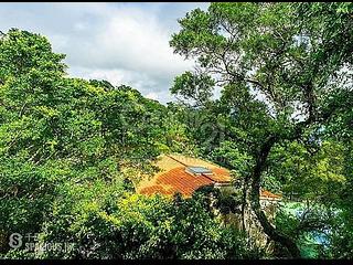 The Peak - Strawberry Hill 03