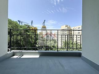 Pok Fu Lam - Alberose 07