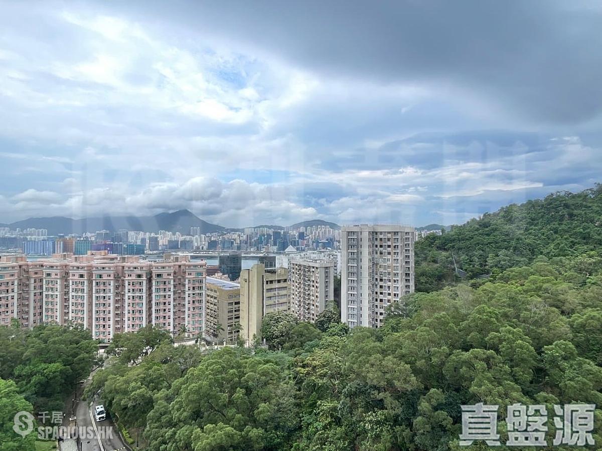 寶馬山 - 賽西湖大廈 01