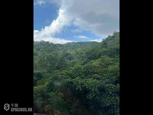 薄扶林 - 置富花園2期 01