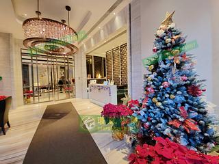 Kennedy Town - Cadogan 27