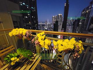 Kennedy Town - The Merton 02