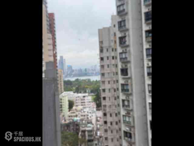 Tai Hang - Cherry Court 02