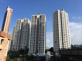 跑马地 - 乐陶苑 11
