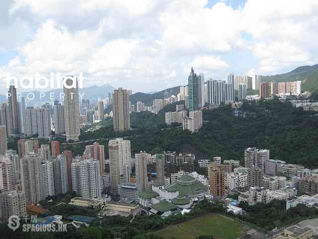 司徒拔道 - 怡園 01