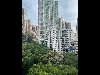 西半山 - 柏苑 05