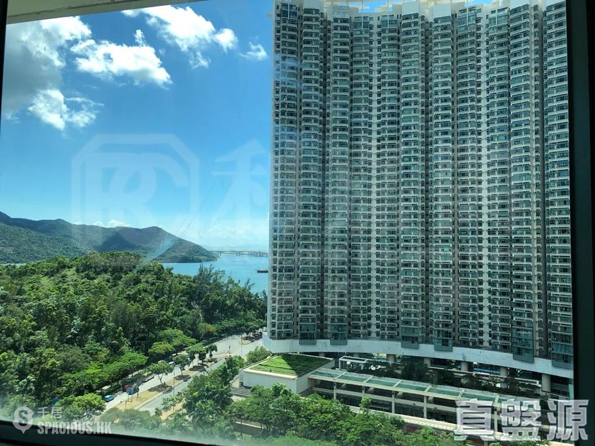 东涌 - 东堤湾畔 01
