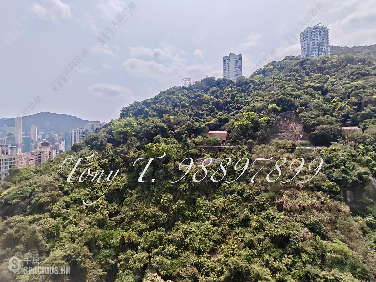 東半山 - 慧景台B座 01