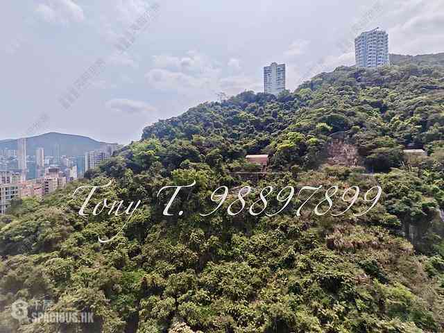 東半山 - 慧景台B座 01