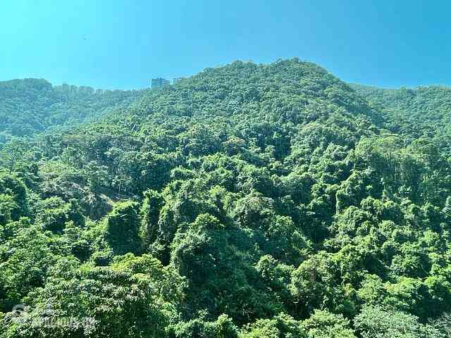 中半山 - 曉峰閣3座 01