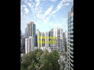 上環 - Hollywood Hill 14