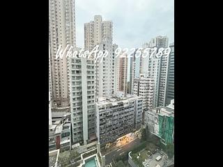 堅尼地城 - 寶雅山 09