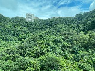 Mid Levels East - Bowen's Lookout 05