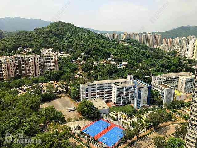 Tai Po - Tak Nga Court 02