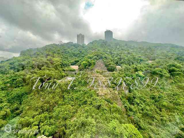 東半山 - 慧景臺B座 01