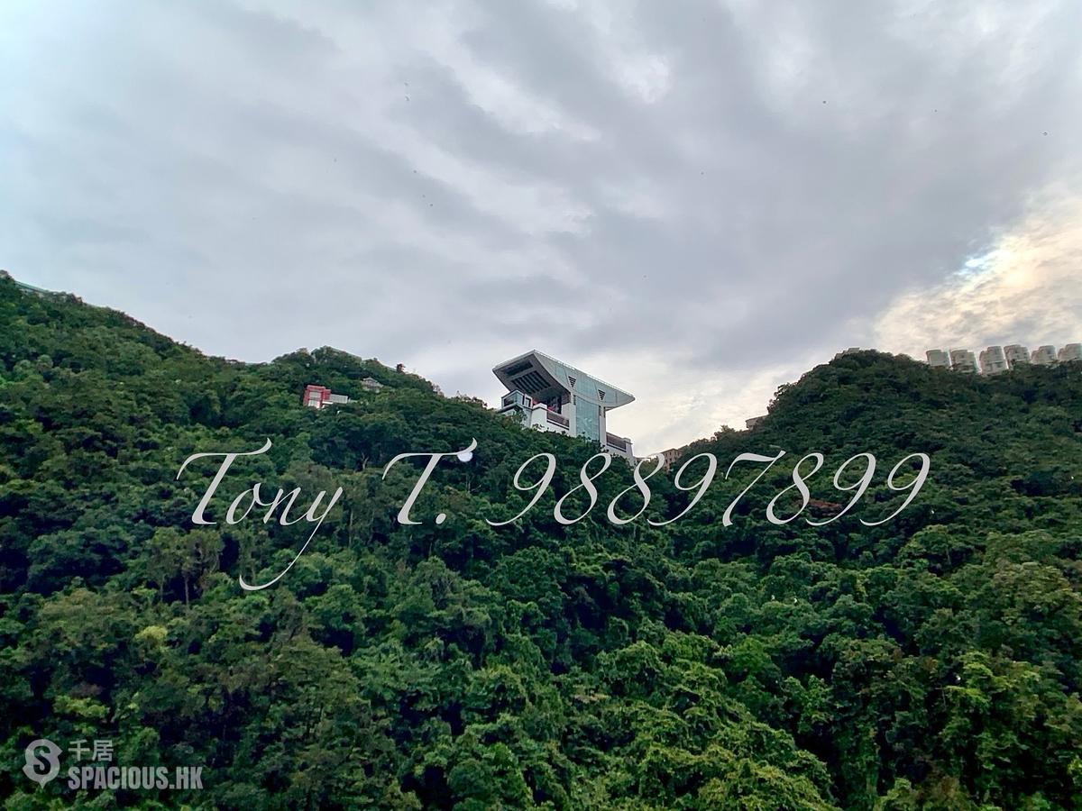 中半山 - 腾皇居II 01