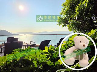 坚尼地城 - 泓都 15