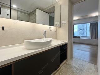 Mid Levels Central - Robinson Place 44