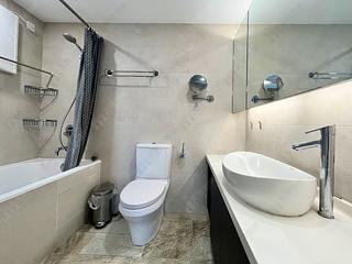 Mid Levels Central - Robinson Place 46