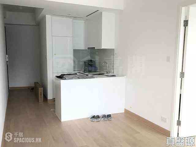 Tseung Kwan O - Savannah Block 3C 03