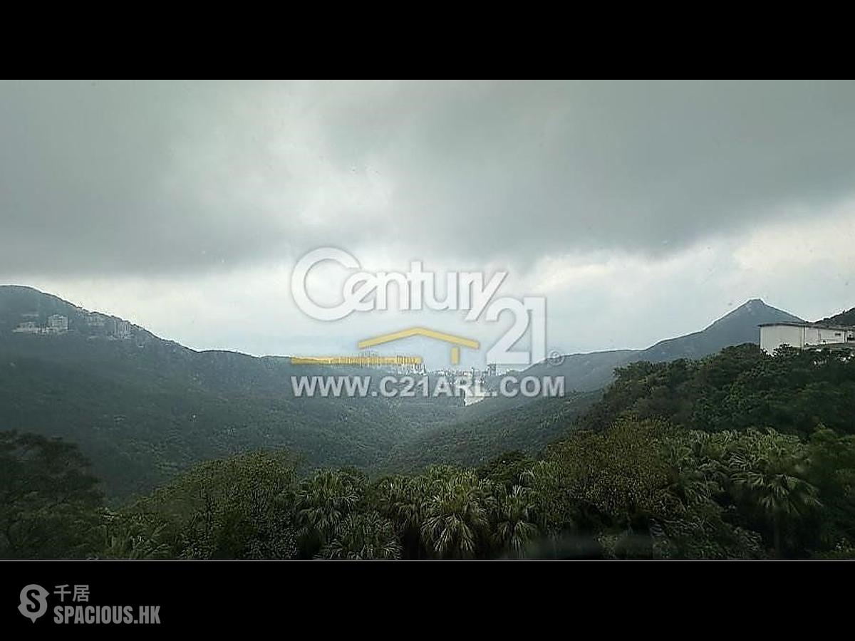 The Peak - The Mount Austin 01