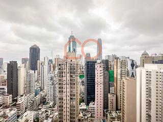 大埔 - 锦丽园 04