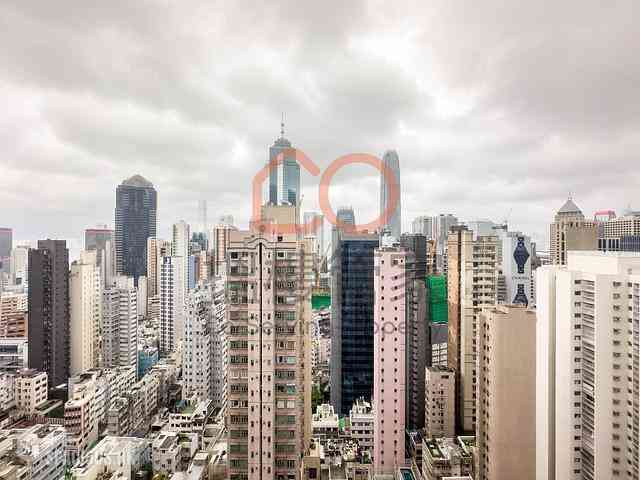 Tai Po - Cameo Court 04