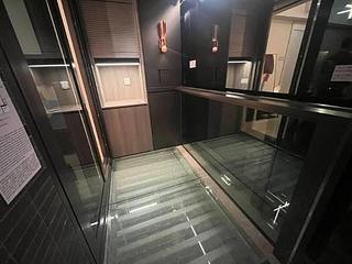 启德 - 柏蔚森 05