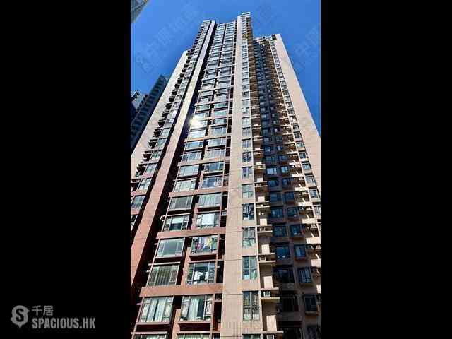Noho - Hollywood Terrace 01