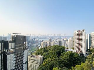 Jardines Lookout - Aurora 04