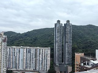 Tai Hang - Carnation Court 18