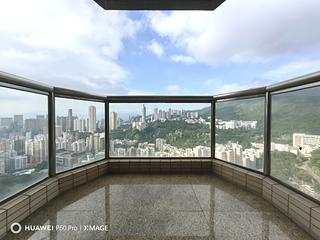 Stubbs Road - Nicholson Tower 03