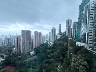 中半山 - 嘉富麗苑1座 13