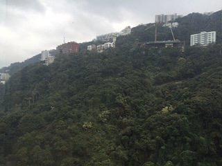 中半山 - 腾皇居II 03