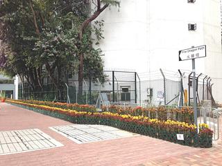 Tai Hang - Fook Hing Court 16
