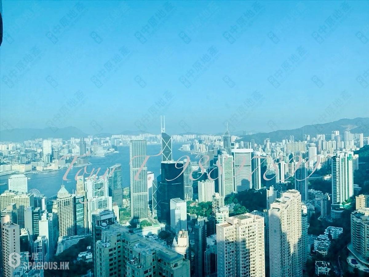 中半山 - 帝景园5座 01