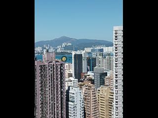 中半山 - 萬翠花園 08