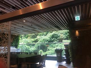 鲗鱼涌 - 君豪峰 11