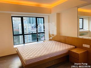 Poho - Rich View Terrace 06