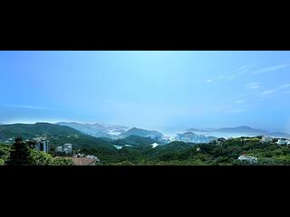 山頂 - 種植道42號 04