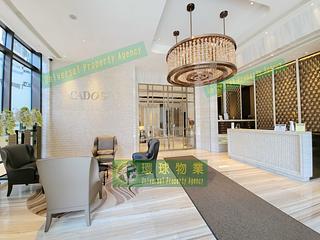 Kennedy Town - Cadogan 15
