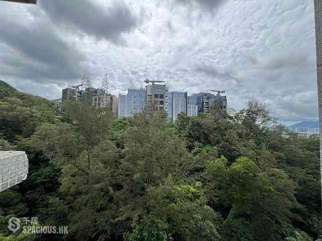 Beacon Hill - Beacon Heights Block 4 07