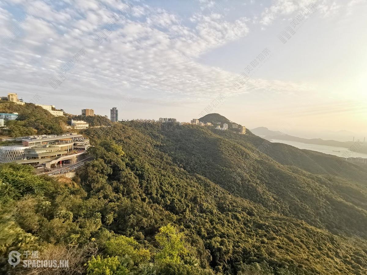 The Peak - The Mount Austin 01