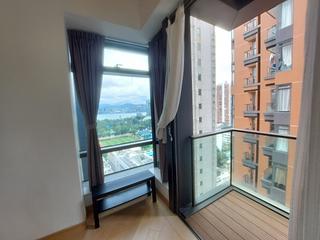 Causeway Bay - Jones Hive 13