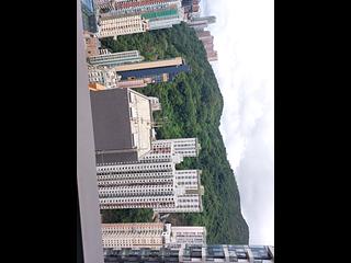 Causeway Bay - Jones Hive 12
