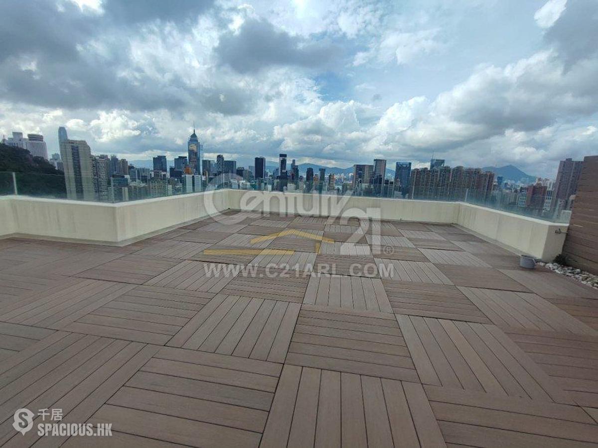 Stubbs Road - 10, Tung Shan Terrace 01