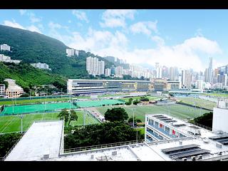 跑马地 - 栢莉园 16