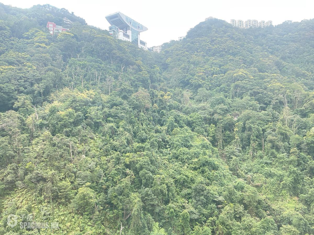 中半山 - 腾皇居II 01