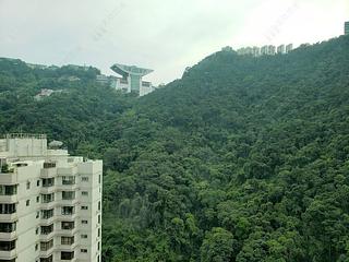 Mid Levels Central - Hillsborough Court 13